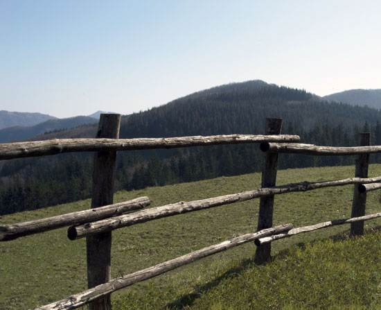 Passo Del Gioco